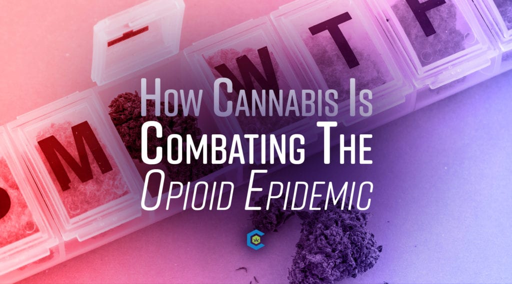 Cannabis and opioid epidemic