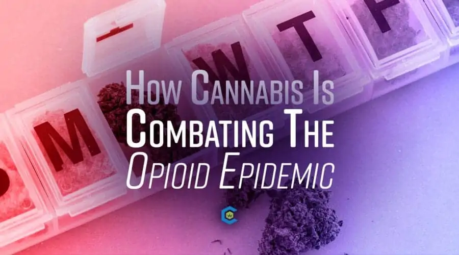 An Epidemic: How Cannabis is Combating the Opioid Crisis