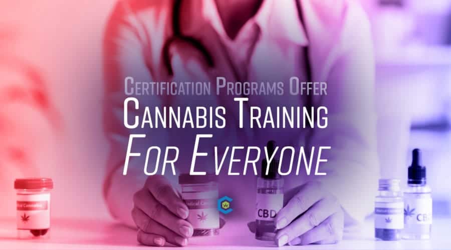 Robust Certification Programs Offers Cannabis Training for Everyone