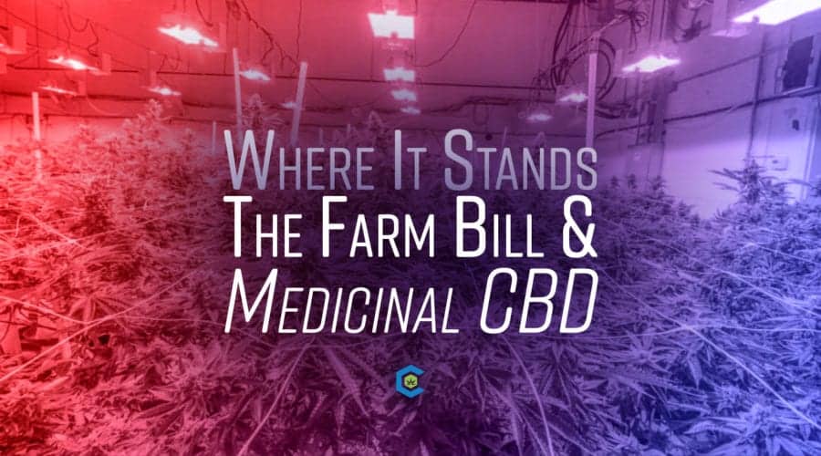The Powerful State of Medicinal CBD