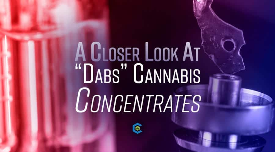 The Diverse World of “Dabs”: A Closer Look at Cannabis Concentrates