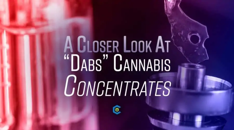 The Diverse World of “Dabs”: A Closer Look at Cannabis Concentrates