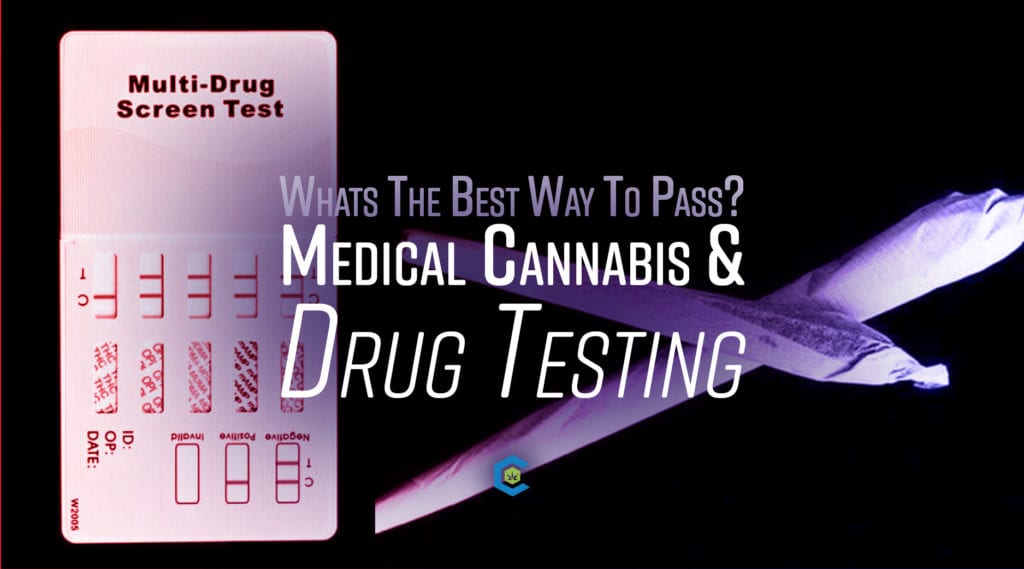 BlogHeader Employment Drug Tests and how to pass