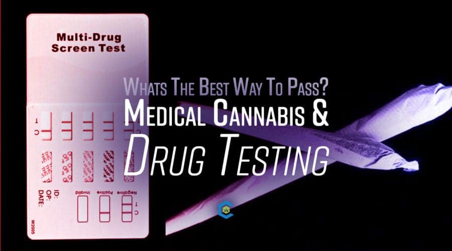 The Drug Test Debate: Clearing the Smoke for the Medical Cannabis Community