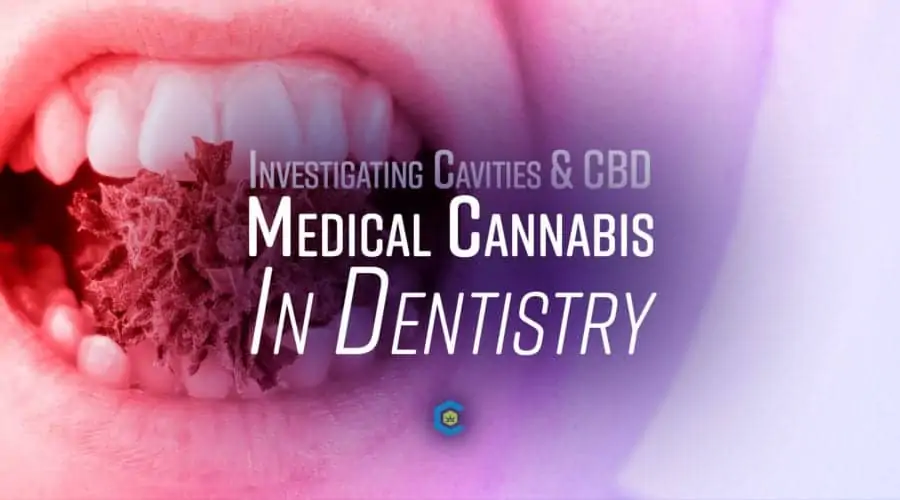 Dentistry and Oral Diseases: Investigating the Role of Medical Cannabis in Dentistry