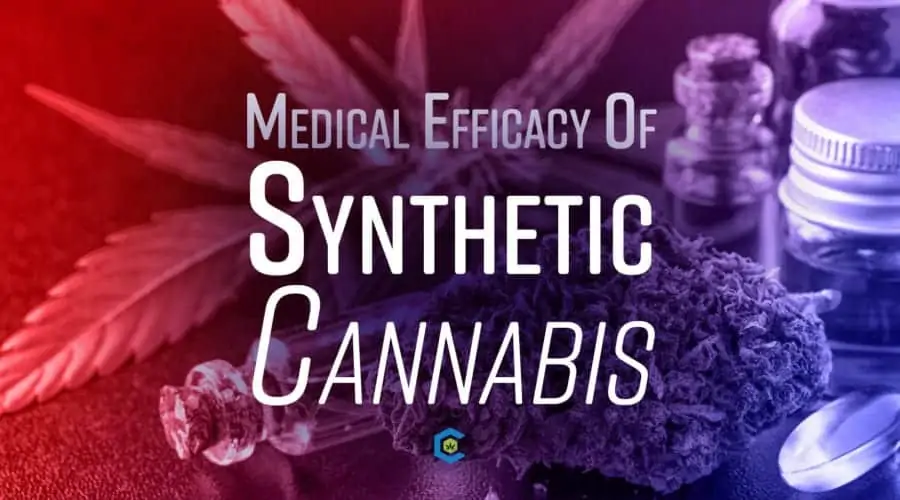 The Deadly Difference Between Synthetic Cannabinoids vs. Cannabis
