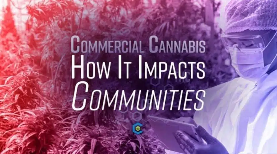 Part I: The Commercial Cannabis Industry and How it Impacts Communities