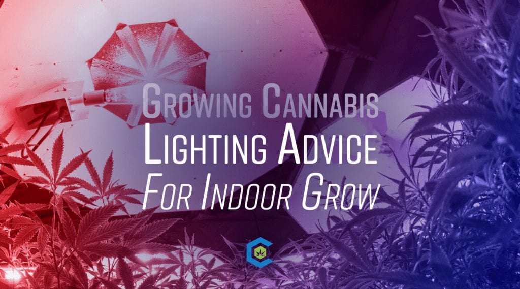 BlogHeader Grow Light Advice Indoor Grow