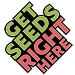 Get Seeds Right Here Cannabis Seeds