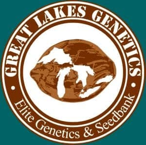 Great Lakes Genetics Cannabis Seeds