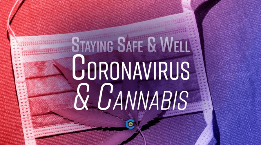 Coronavirus and Cannabis – What You Need to Know Now