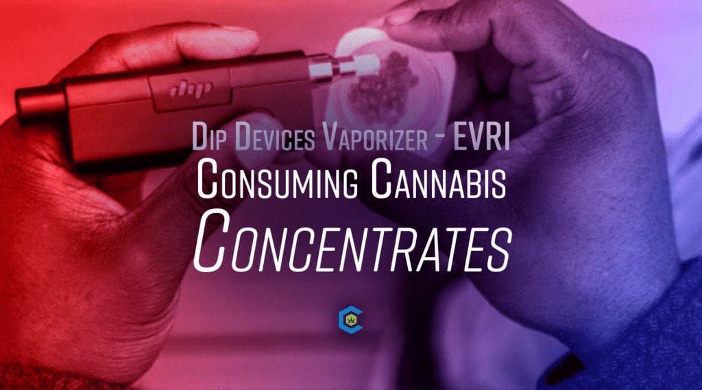 Dip Device EVRI Handheld Portable Vaporizer