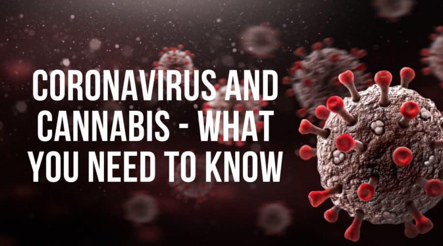 Coronavirus and Cannabis – What You Need to Know