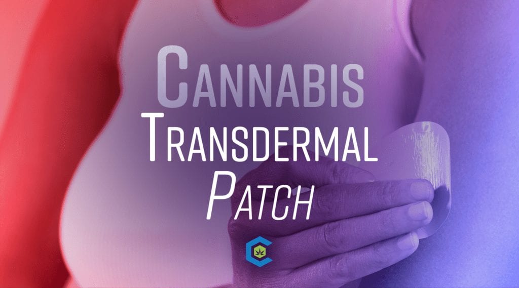 BlogHeader Cannabis Transdermal Patch