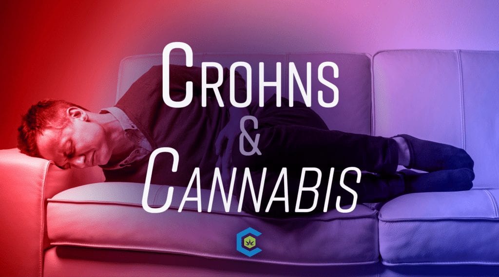 BlogHeader Crohns Disease Cannabis