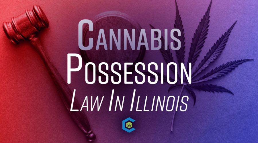 How Much Cannabis Can You Legally Possess in Illinois?