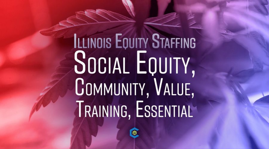 Top 5 Reasons Why Cannabis Employers Value Illinois Equity Staffing