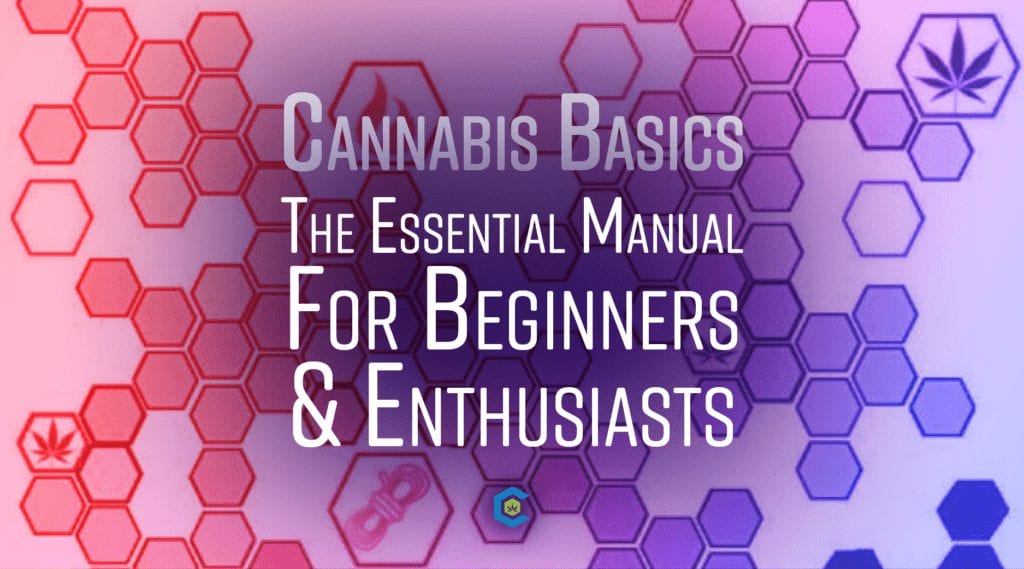 cannabis basics textbook