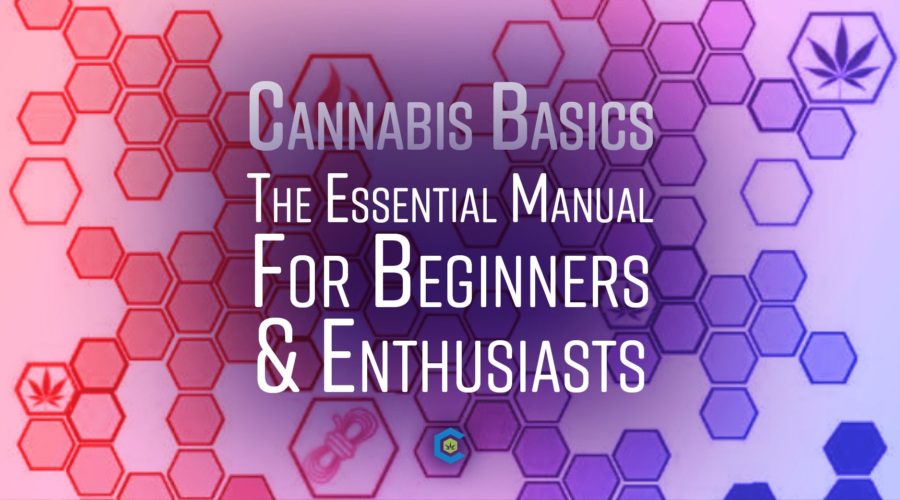 Cannabis Basics Textbook: A Fun Evidence-Based Journey Into Cannabinoid Science Fundamentals