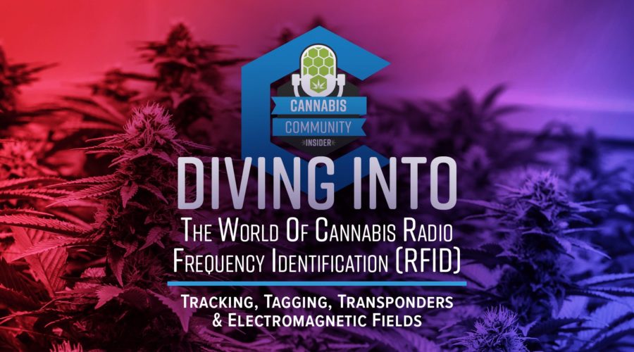 Diving into The World of RFID & Cannabis