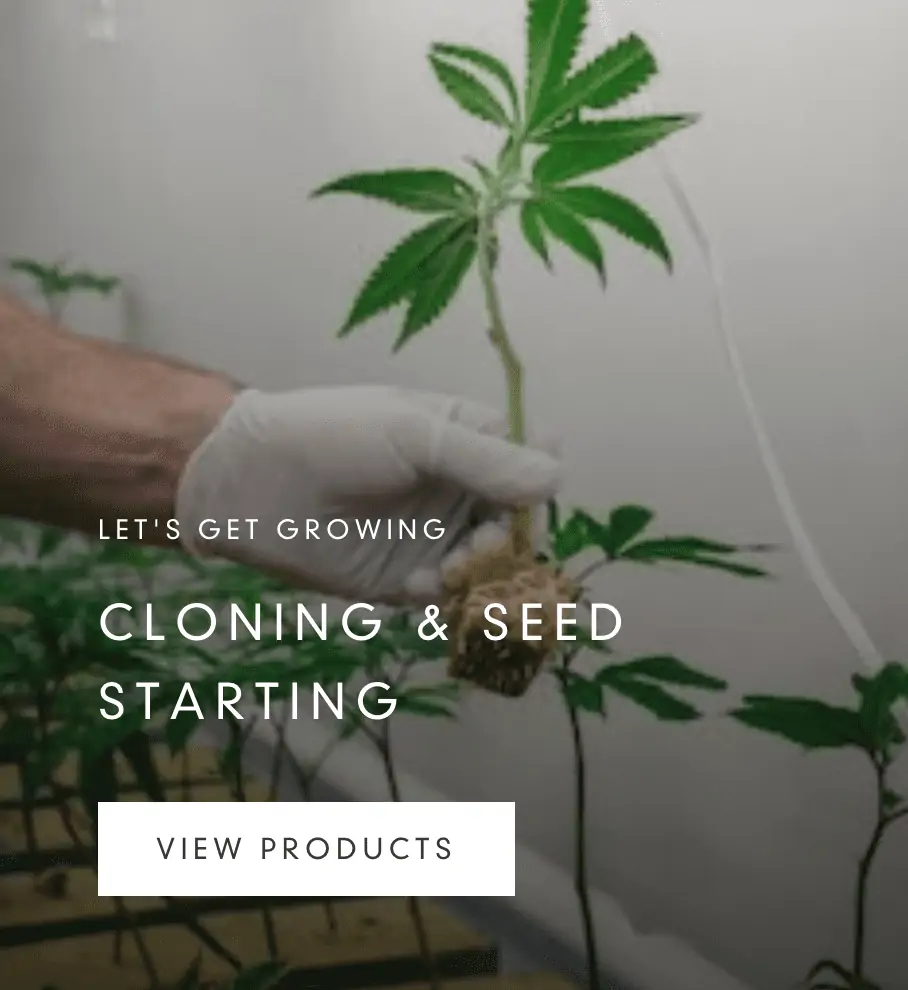 Cloning-Seed