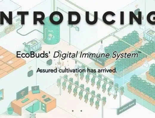 EcoBuds Intro Image