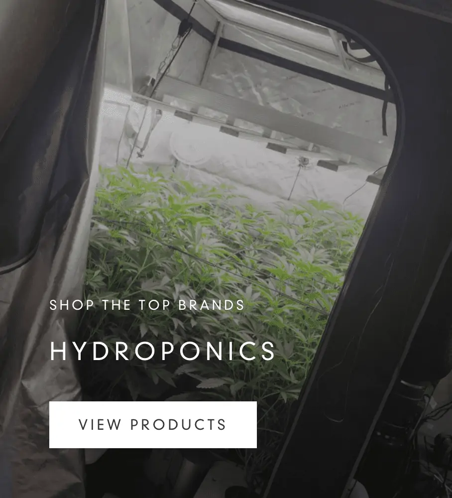 Hydroponics