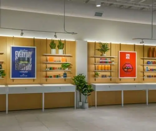 Sunnyside Cannabis Dispensary store display in Champaign, IL 