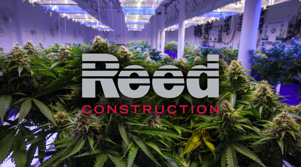 Reed Construction
