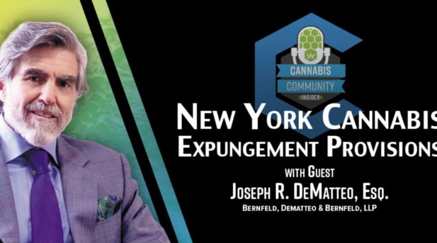 Expungement Explained: Navigating New York Cannabis