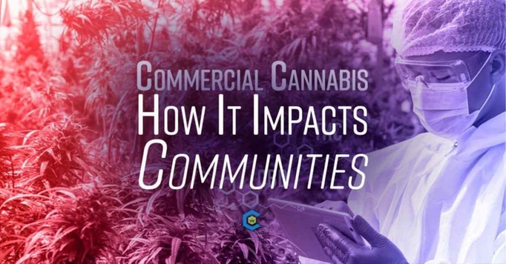 commercial cannabis and how it impacts communities