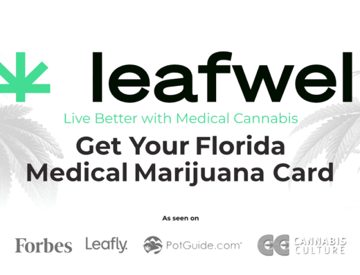 Directory-Header-Leafwell-Florida-01-900x500