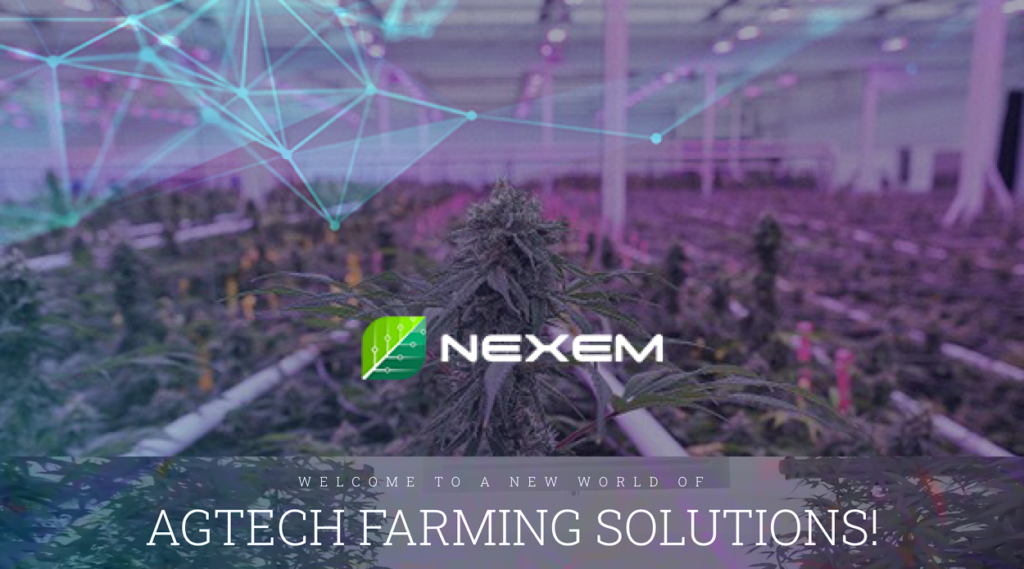 Nexem