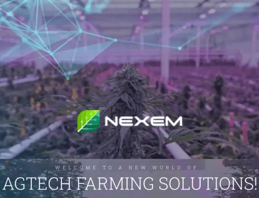 Nexem