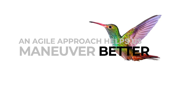 An agile approach helps us maneuver better typed across an iridescent photo of a hummingbird. HMB Legal Counsel.