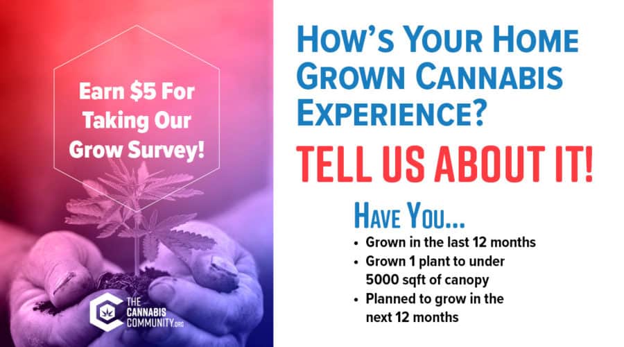 Cannabis Home Grow Survey