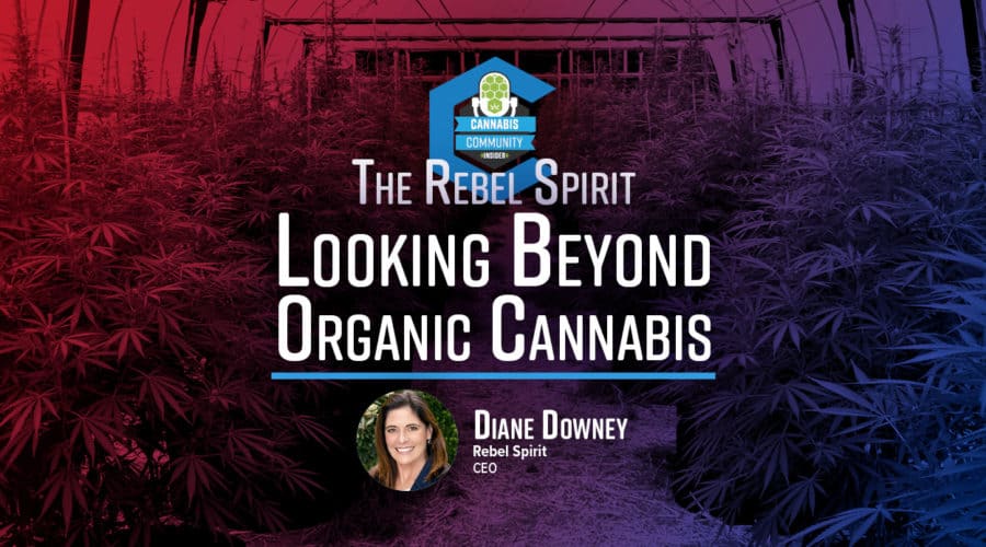 Looking Beyond Organic Cannabis: The Rebel Spirit Way
