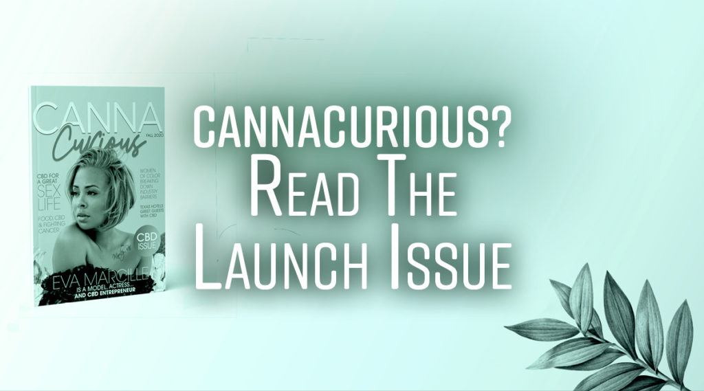 BlogHeader Magazine Launch CannaCurious TCC 01 1