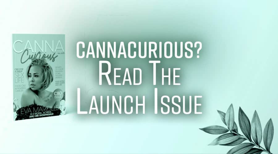 Read the Launch Issue of CannaCurious Magazine!