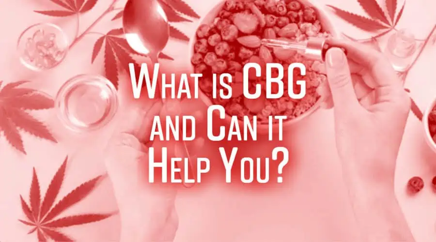 What is CBG and Why Should I Be Looking into Supplements?
