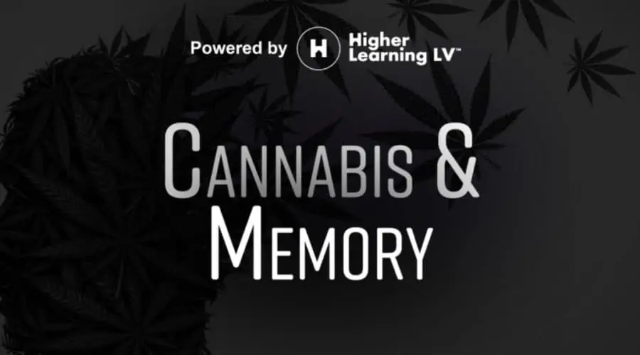 Memory and Cannabis: The Connection Between the Brain