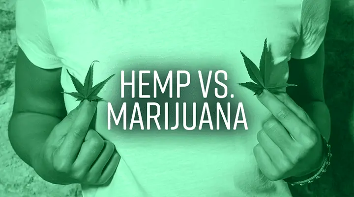 A woman showcasing the distinction between hemp and marijuana through a leafy symbol.