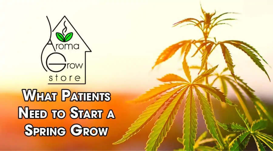 What Patients Need to Start a Spring Medical Cannabis Grow