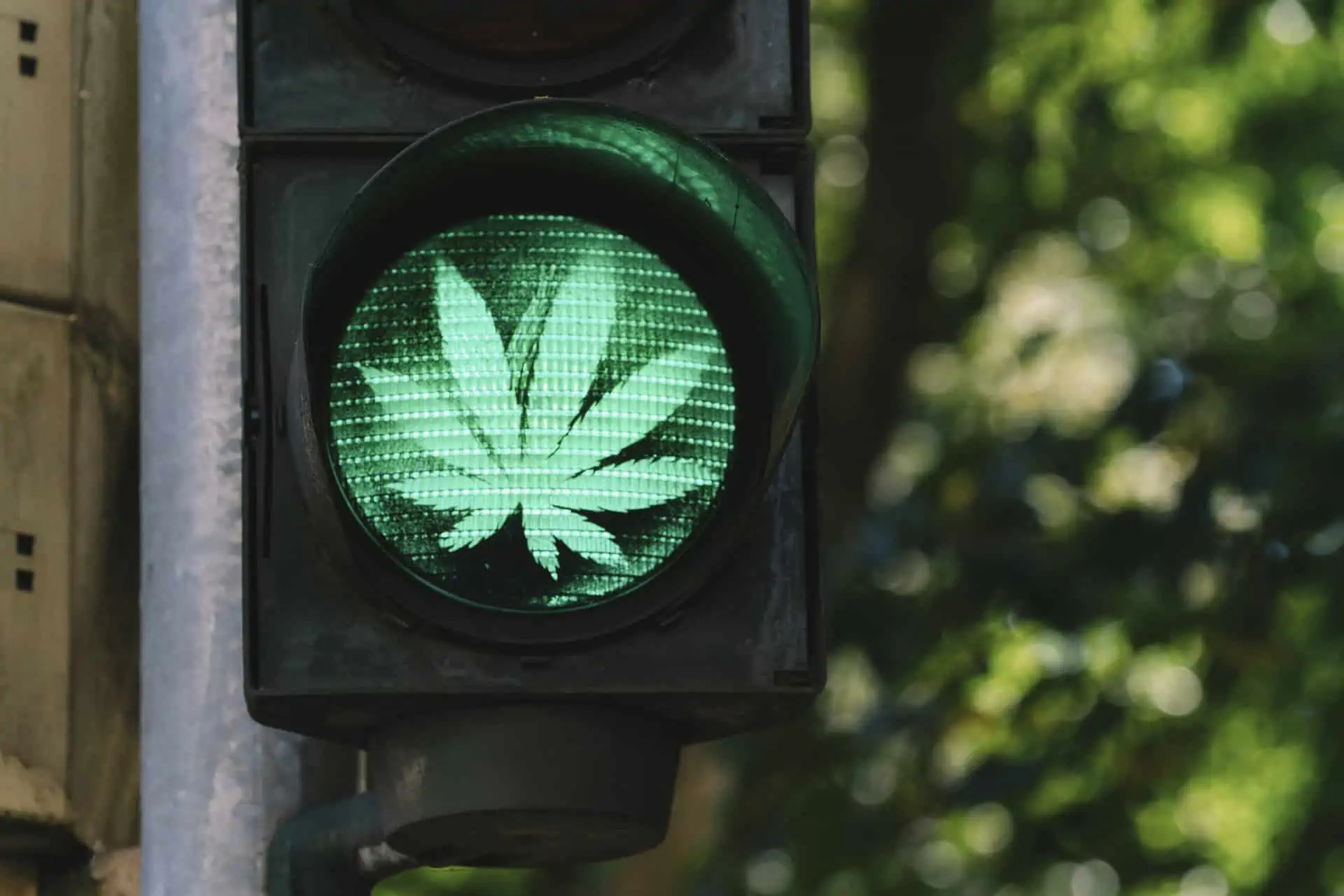 Wondering How to Travel with Medical Marijuana? Your Questions Answered

Street Light