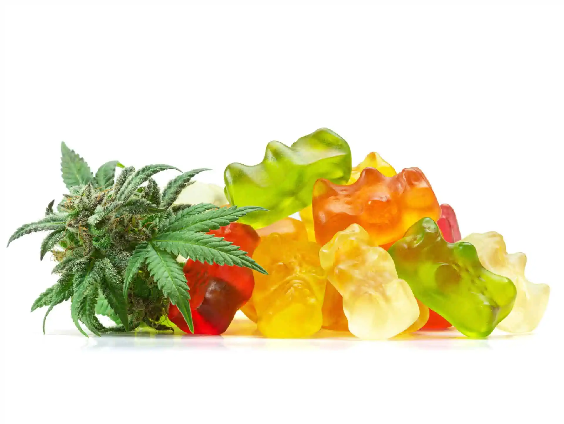 Gummy Edibles Making Kit with Gummy Candy Mixer