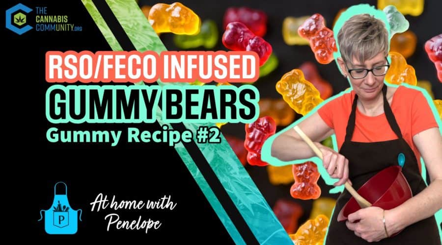 How to Make THC Gummy Bears Infused With RSO/FECO