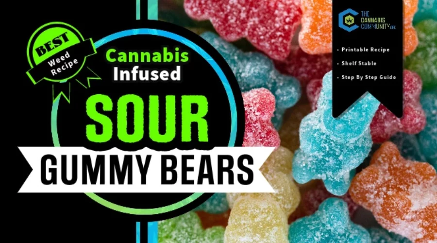 Homemade Sour THC Gummies: Best Cannabis-Infused Recipe Using RSO, Corn Syrup And Citric Acid