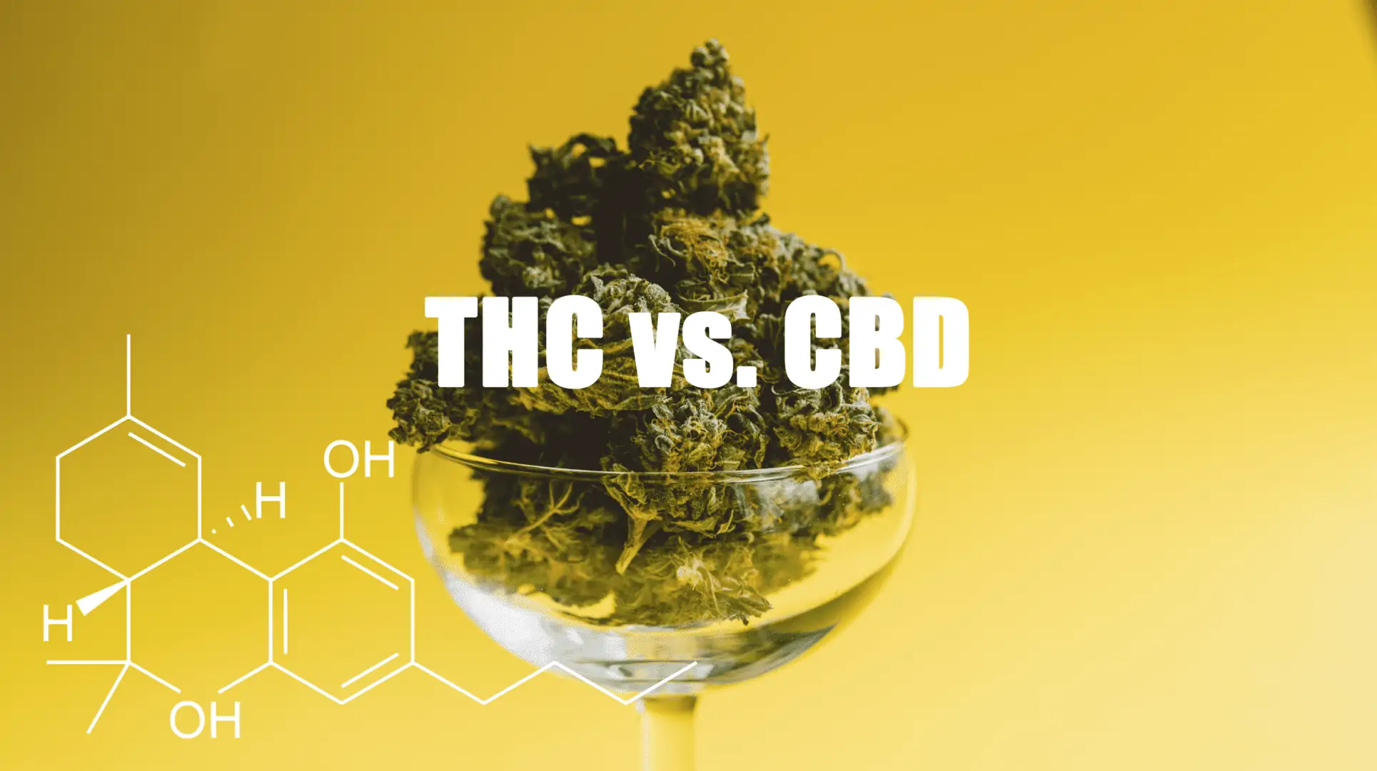 THC vs CBD Cannabis Hemp