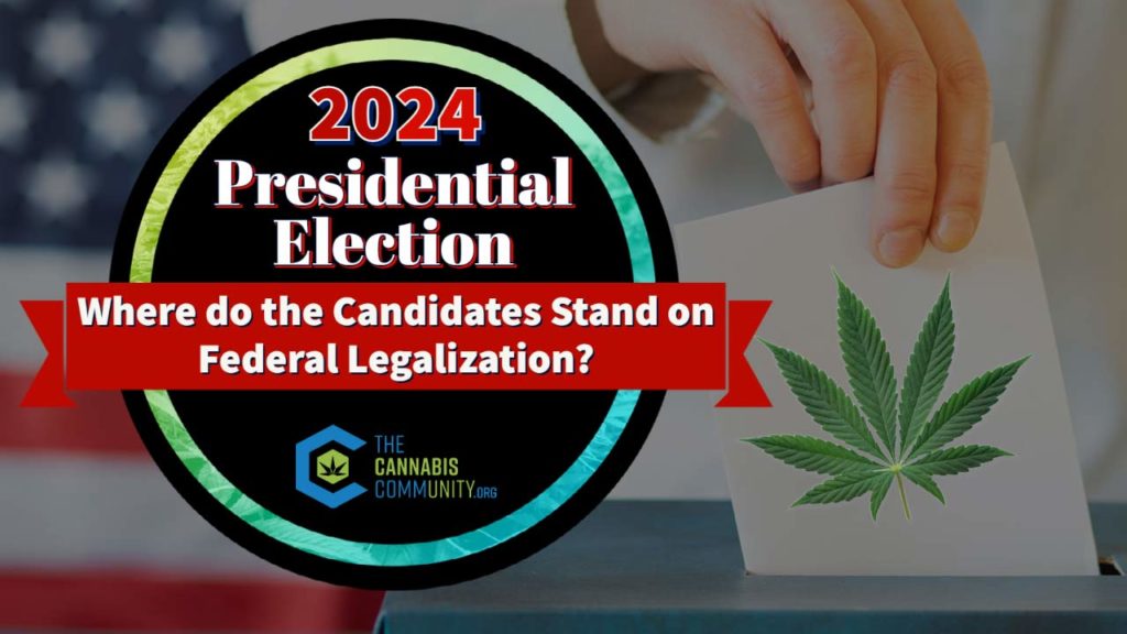 Wondering what the current crop of presidential candidates for 2024 think of legalization of cannabis on a federal level? Here’s what you need to know.