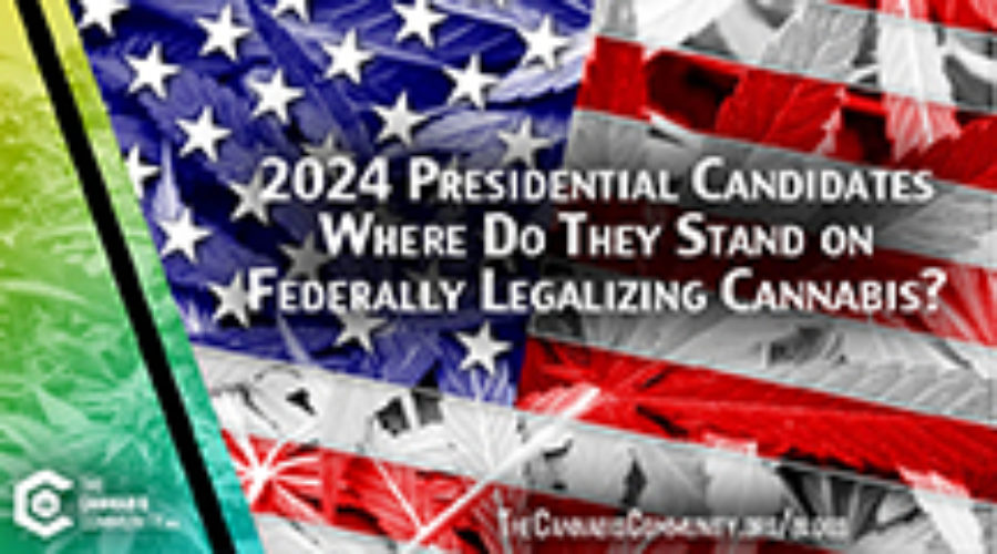 Federally Legal Cannabis After 2024’s Presidential Election? 